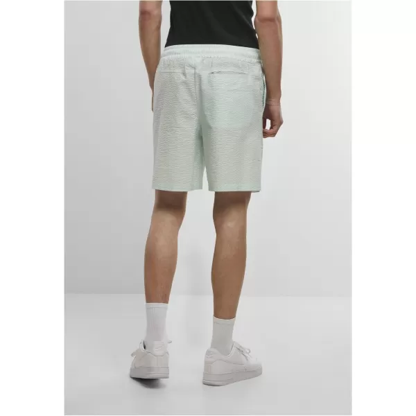  Pánské kraťasy URBAN CLASSICS TB6617 FROST MINT 