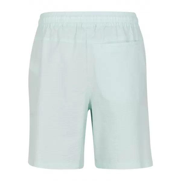  Pánské kraťasy URBAN CLASSICS TB6617 FROST MINT 